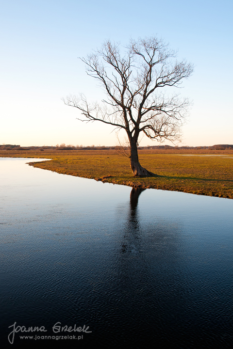 088_Biebrza - kwiecien 2013.jpg